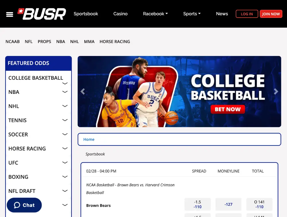 busr doge betting site
